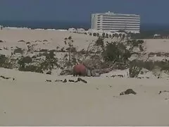 Bra sug svenska gamla porrfilmer