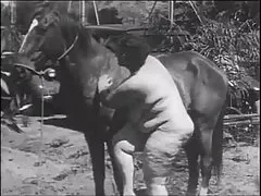 En gratis porr på nätet tjej gav till mannen